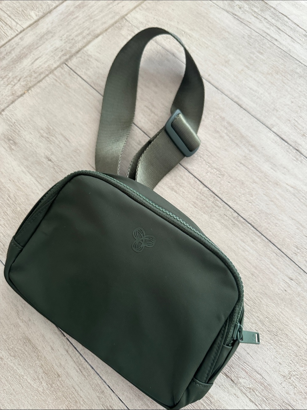 NWOT ARitzia TNAction Green belt bag
